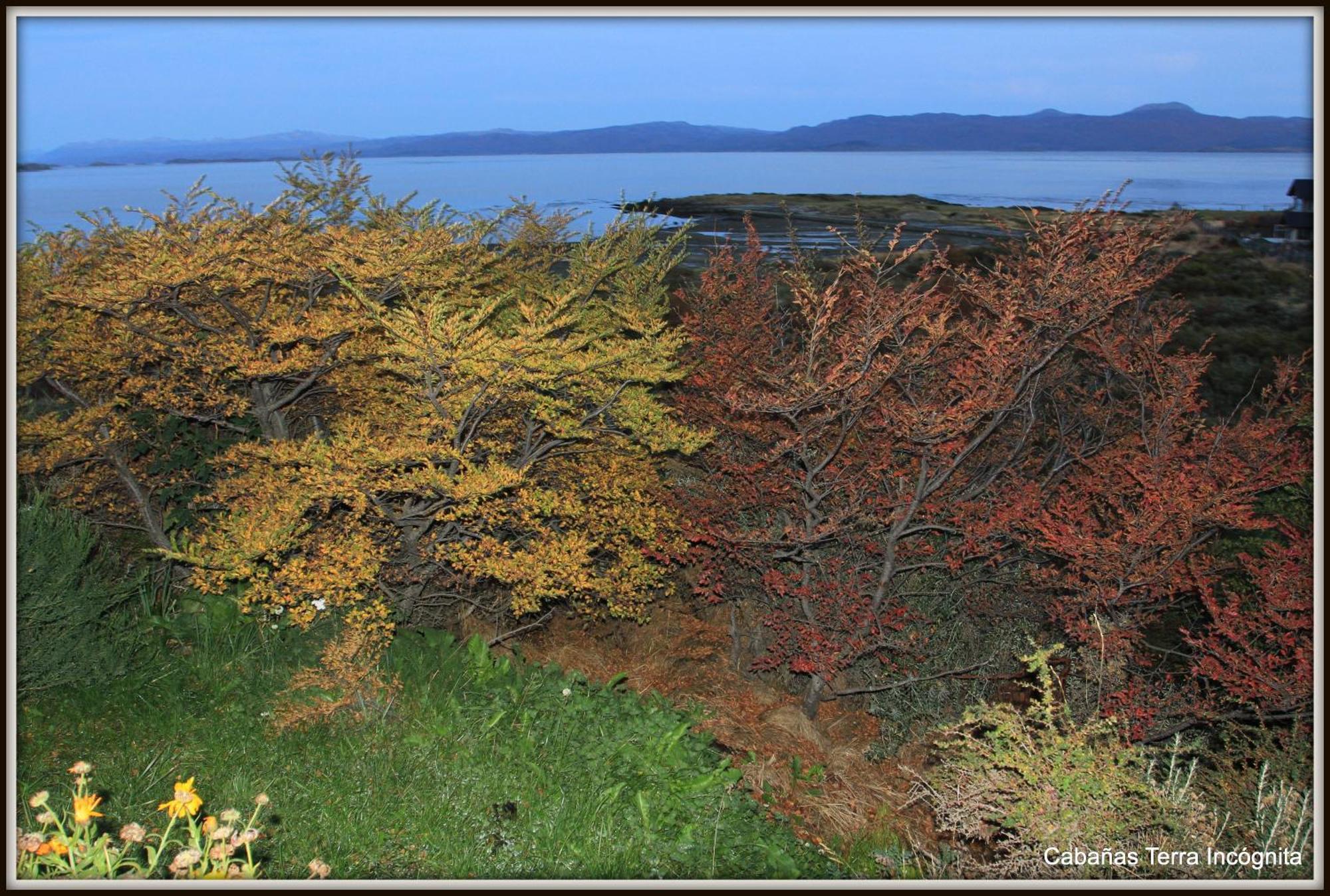 Terra Incognita Villa Ushuaia Cameră foto