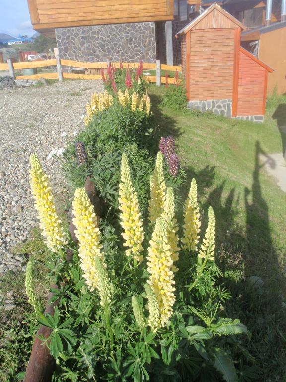 Terra Incognita Villa Ushuaia Cameră foto