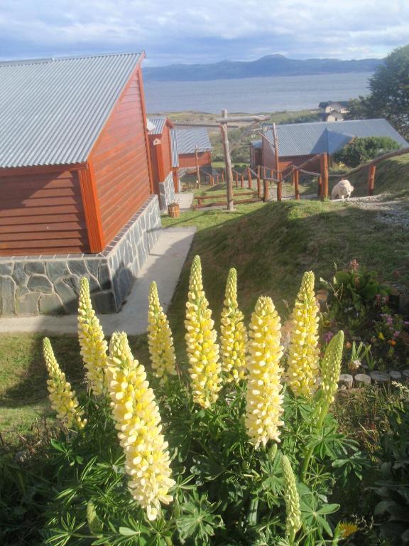 Terra Incognita Villa Ushuaia Cameră foto